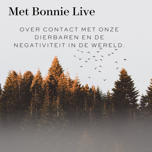 Live met Bonnie: over contact met onze dierbaren en over de negativiteit in de wereld