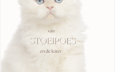 Heilige Seksualiteit