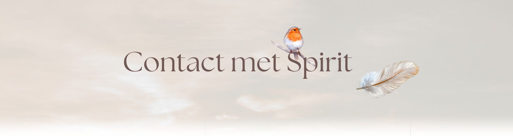 Contact met Spirit
