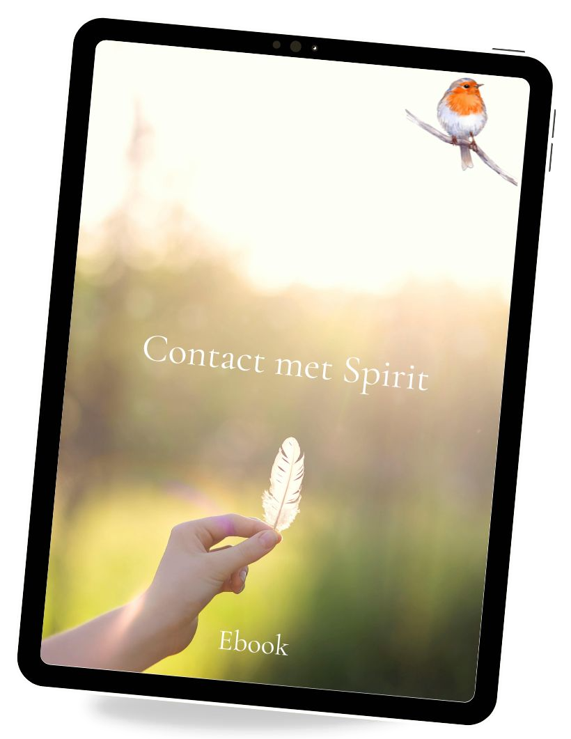 Contact met Spirit e-book