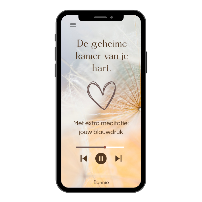 De geheime kamer van je hart meditatie + de kamer van jouw blauwdruk!