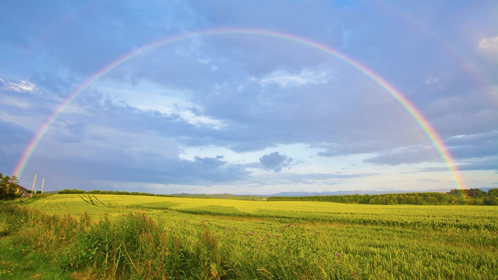 Een regenboog boven een veld